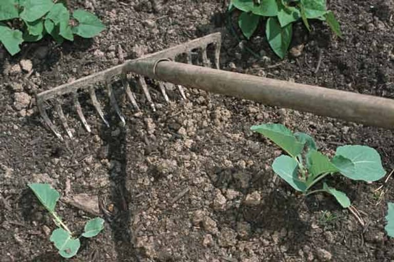 FotoShow Diese Gartenwerkzeuge gehören zur Grundausstattung