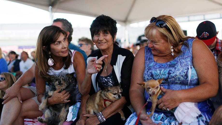 Scamp, Alvin und Kate Rose (von links) mit ihren Besitzerinnen, die ihre Lieblinge während des Spektakels hüten.
