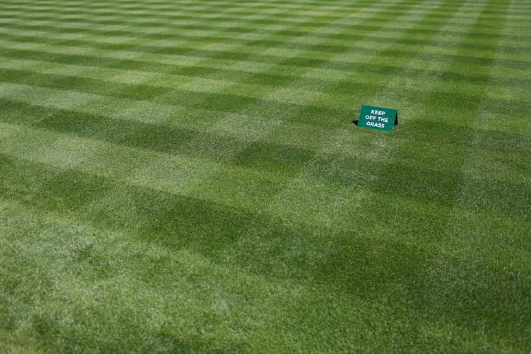 19 Spiel- und 22 Trainingsplätze: Der "Heilige Rasen" ist wie jedes Jahr bestens präpariert. In Wimbledon hat das Gras eine Höhe von gerade mal acht Millimeter und wird während des Turniers täglich um exakt zwei Millimeter gekürzt.