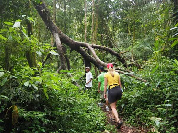 Eine Wanderung durch den Regenwald bei Munduk auf Bali ist schweißtreibend und der nächste Badestrand weit entfernt.