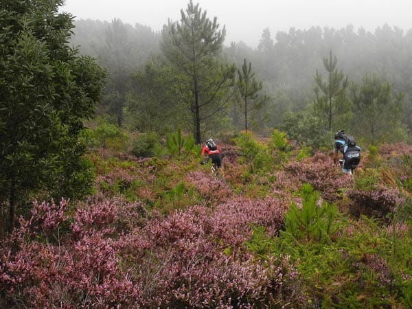 Mountainbiker kommen im Naturpark Quinta do Pisao, wo es mitunter auch neblig und kühl sein kann, auf ihre Kosten.