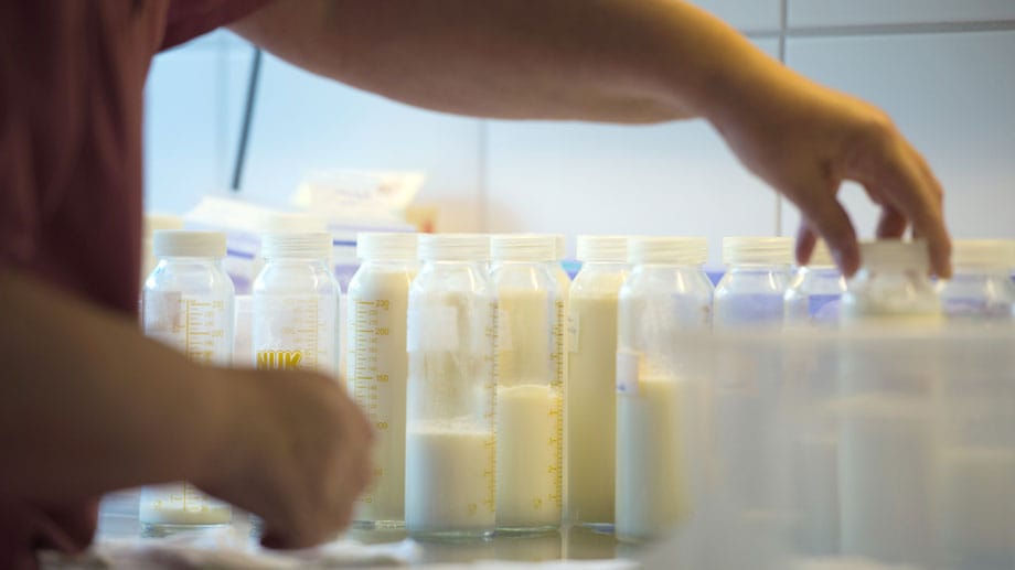 Abfüllen, untersuchen, einfrieren - Routine in der Dresdner Milchküche.