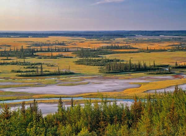 Heute ist Wood Buffalo mit 45.000 Quadratkilometern der größte Nationalpark des Landes und einer der größten der Welt. Er umschließt Karstgebiete, Salzebenen und das gewaltige Peace Athabasca-Binnendelta - ein Rastplatz für Hunderttausende Zugvögel.