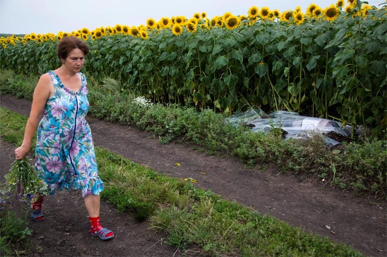 Tod im Sonnenblumenfeld: Eine Ukrainerin läuft am Morgen nach der Tragödie an einer abgedeckten Leiche vorbei.