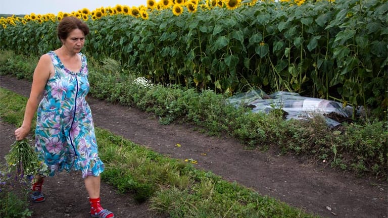 Tod im Sonnenblumenfeld: Eine Ukrainerin läuft am Morgen nach der Tragödie an einer abgedeckten Leiche vorbei.
