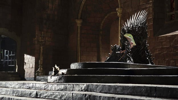 Der eiserne Thron aus der TV-Serie "Game of Thrones" dürfte manchem ein Begriff sein. Ob es sich bequem drauf sitzt, sei mal dahingestellt. Der eiserne Thron aus der TV-Serie "Game of Thrones" dürfte manchem ein Begriff sein. Ob es sich bequem drauf sitzt, sei mal dahingestellt.
