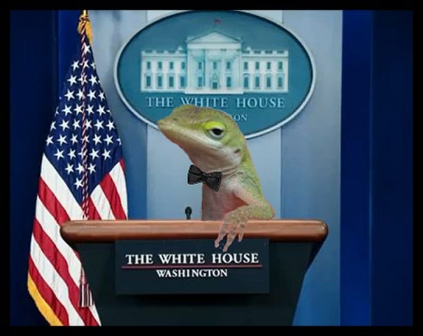 Ladies and Gentleman: The President of the Unite... oh, Moment. Da ist was falsch. Ladies and Gentleman: The President of the Unite... oh, Moment. Da ist was falsch.