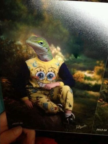 Outet sich das kleine Reptil da etwa als Spongebob-Fan? Outet sich das kleine Reptil da etwa als Spongebob-Fan?