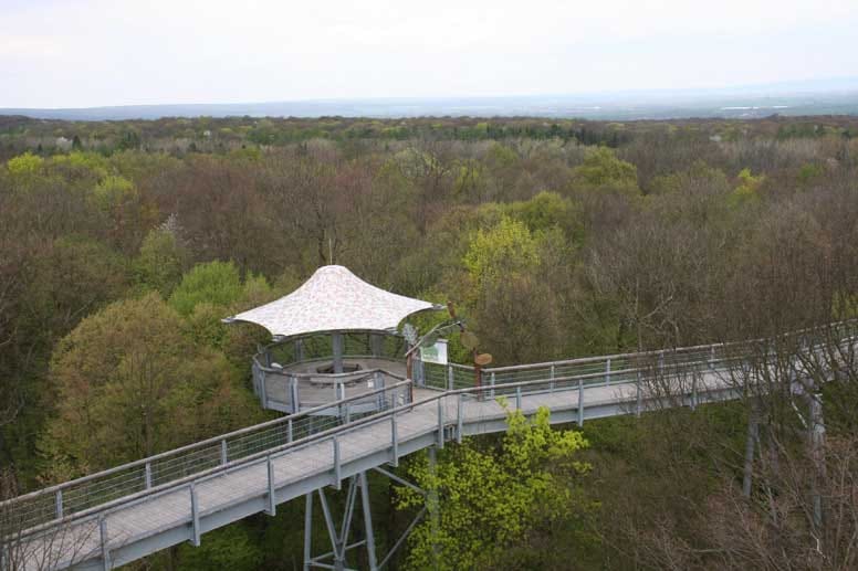 Dem Wald aufs Dach steigen können die Besucher des Nationalpark Hainich auf dem Baumkronenpfad über den Wipfeln des sonst unzugänglichen Bereich des Parks.