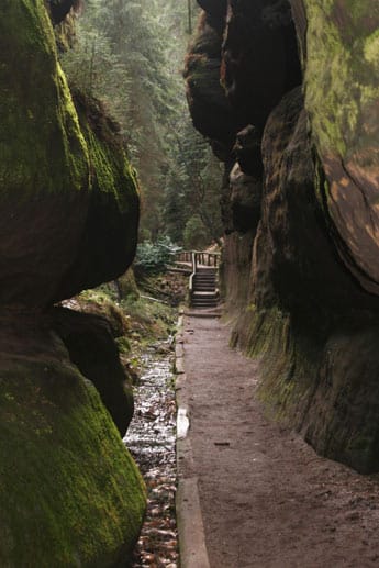 400 Kilometer Wanderwege allein im sächsischen Teil der Nationalparkregion laden zum Wandern ein.