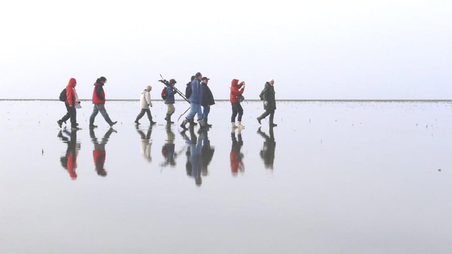Besucher im Wattenmeer (Archivbild): Tiervideos werben für respektvollen Umgang mit dem Naturerbe. Besucher im Wattenmeer (Archivbild): Tiervideos werben für respektvollen Umgang mit dem Naturerbe.