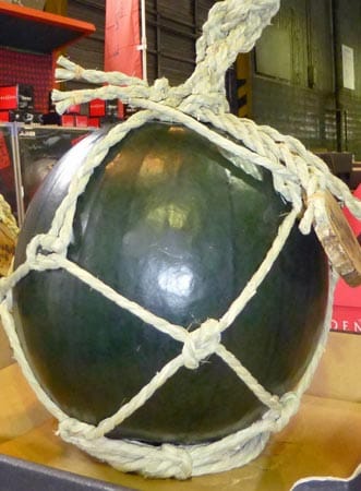 Lecker und teuer: Eine Densuke-Wassermelone auf der japanischen Insel Hokkaido.