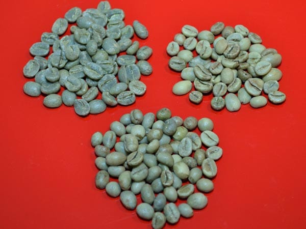 Aus diesen drei Kaffeebohnen besteht diese Mischung: Robusta, Arabica und die kleinen Perl. Dies sind verkümmerte Kaffeekirschen vom unteren Teil des Strauches, die von Hand gepflückt werden und der Espressomischung besondere Aromen zufügen.