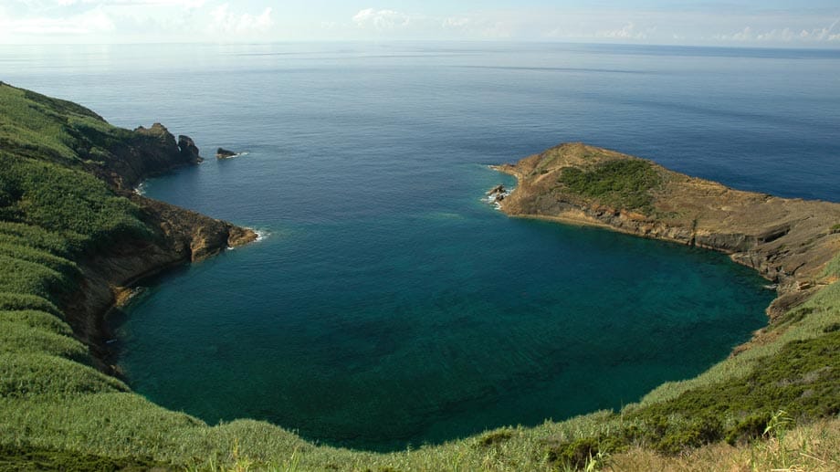 Unterwasserparadies Azoren: Im Vulkan-Krater neben der Inselhauptstadt Horta auf Faial kann auch getaucht werden.