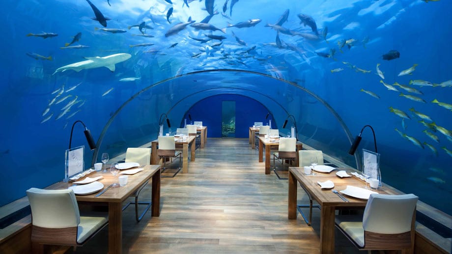 Highlight ist das kleine, aber feine Ithaa Unterwasser-Restaurant und fünf Meter unter dem Meeresspiegel zu Tisch bittet.