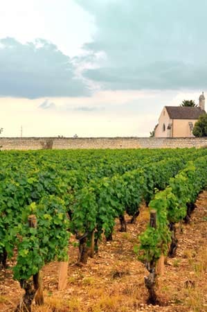 Das Burgund ist für seine Spitzenweine bekannt. Das Hospiz von Beaune hat knapp 60 Hektar Rebfläche in den besten Lagen.