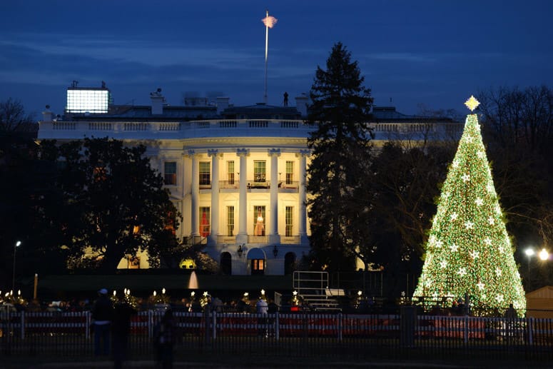 In diesen für die US-Regierung zappendusteren Zeiten kann das Weiße Haus Erleuchtung dringend gebrauchen. In der Weihnachtszeit darf diese Aufgabe der National Christmas Tree übernehmen. Ähnlich wie die Zeremonie in New York ist das Einschalten der Weihnachtsbaumbeleuchtung durch den Präsidenten ein landesweit übertragenes, sehnsüchtig erwartetes Fernsehereignis, das dieses Jahr am 4. Dezember stattfindet.