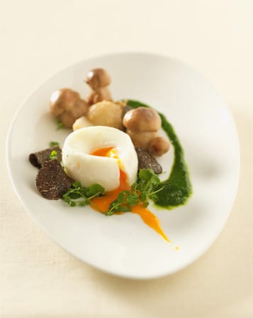 Auch Eier harmonieren mit Trüffeln: Ei en cocotte mit gehobelten Trüffeln und Steinpilzen.