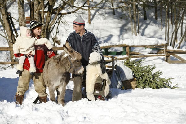Weihnachten im Kinderhotel "Post" in Unken - mit Esel.