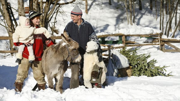 Weihnachten im Kinderhotel "Post" in Unken - mit Esel.