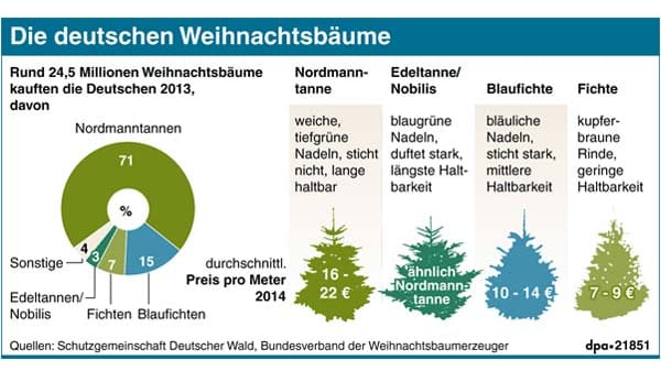 Weihnachtsbaum-Sorten