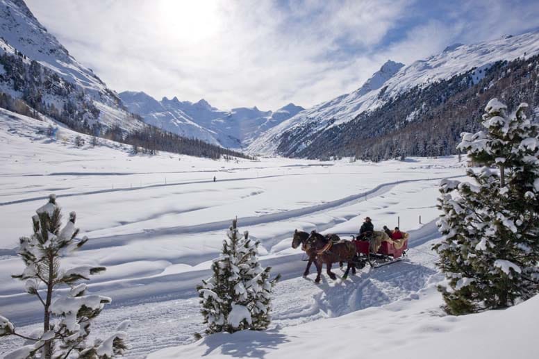 Beliebter Winterspaß: Pferdeschlittenfahrt mit Gletscher-Panorama im Val Roseg.