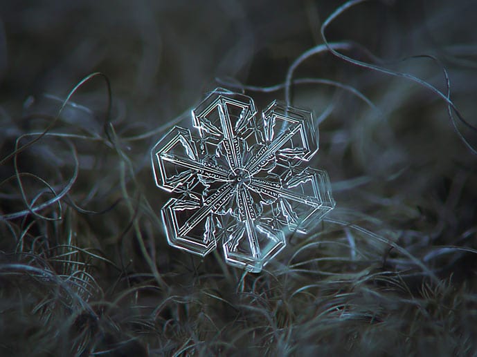 Bei minus 15 Grad wachsen die größten Eiskristalle heran.
