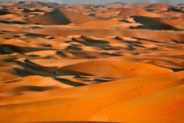 In der Wüste reichen die Temperaturen von nachts 0 bis 60 Grad tagsüber.