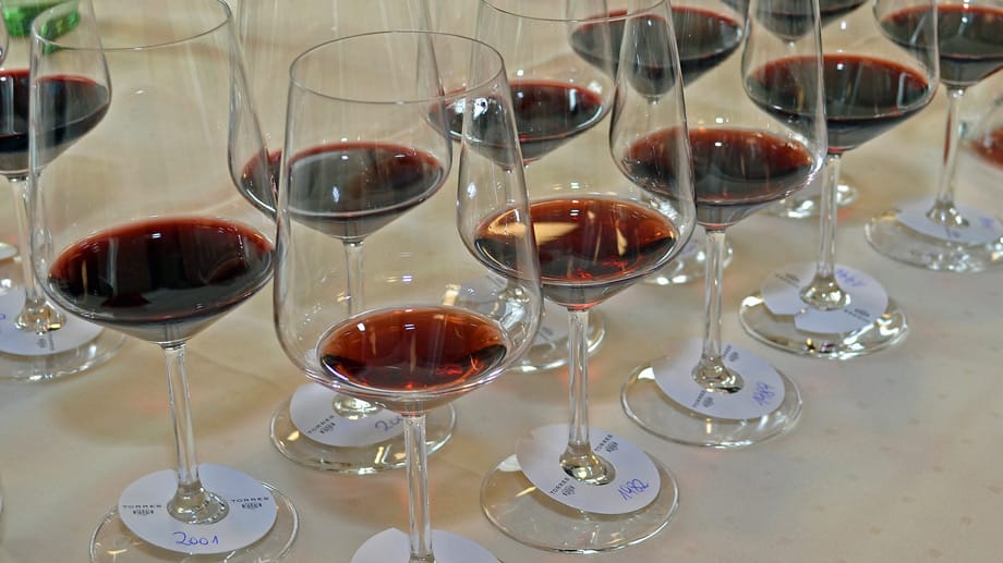 Mit dem Cabernet Sauvignon Mas La Plana der Bodegas Torres begann in den 70-er Jahren das Renommee des spanischen Rotweins. Bei der Verkostung ab Jahrgang 1976 sind die richtigen Gläser besonders wichtig, um die feinen Unterschiede in der Entwicklung des Weins und der einzelnen Jahrgänge beurteilen - und genießen - zu können.