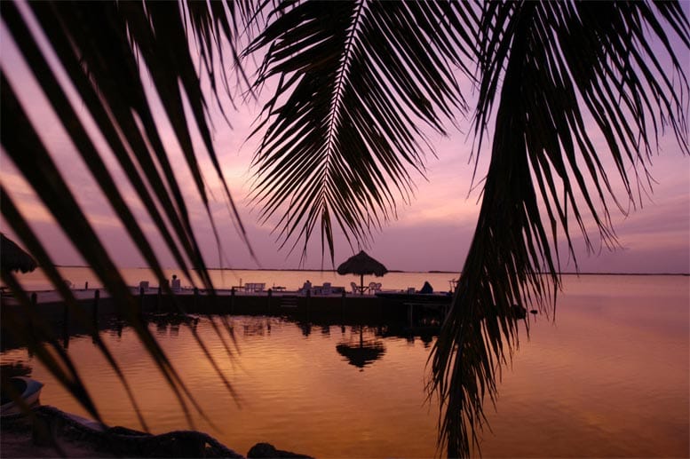 Der Sonnenuntergang auf den Florida Keys ist malerisch und taucht die Landschaft in ein buntes Licht.