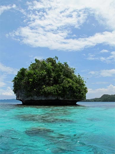 Pilz mit Palmendach: Die meisten Inseln von Palau sind kaum größer als ein Dorfplatz.