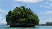 Pilz mit Palmendach: Die meisten Inseln von Palau sind kaum größer als ein Dorfplatz.