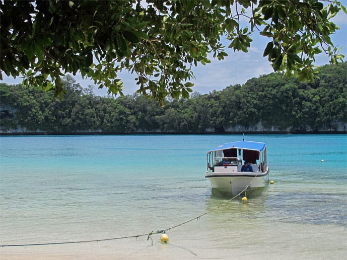 Sattes Grün und leuchtendes Türkis: Die Inseln von Palau zählen zu den schönsten Tauchgründen der Welt.