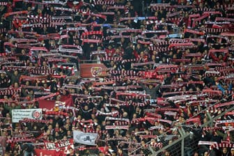 DFB-Pokal-Achtelfinale, K.-o.-Runde! Fans des Zweitligisten 1. FC Kaiserslautern feuern ihr Team gegen den Bundesligisten Bayer Leverkusen an. "Der Pokal hat traditionell einen hohen Stellenwert in Deutschland. Der Anreiz, hier weit zu kommen, ist enorm groß", sagt Bayers Chef-Trainer Roger Schmidt vor der Partie.