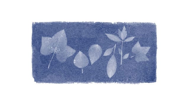 Das in blau und weiß gehaltene Google Doodle zeigt unterschiedliche Blätter – und ehrt damit den 216. Geburtstag von Anna Atkins.