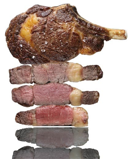 Ob Dry-Aged-Beef, Kobe, Wagyu oder Txogitxu – das noch so tolle Premiumfleisch ist ruiniert, passt der Koch oder Grillmeister nicht den perfekten Garpunkt ab.