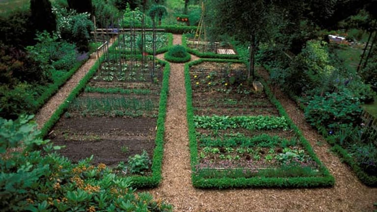Mit wegen, die verschiedene Beete abtrennen, wirkt ihr Garten optisch größer.
