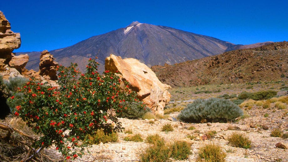 Der 3717 Meter hohe Vulkan Pico Teide ist die höchste Erhebnung der Insel und ein attraktives Ziel für Wanderer.