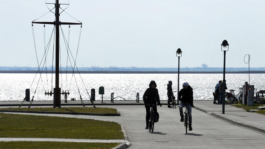 Im Hafen von Born am Bodden entspannen sich Radfahrer.