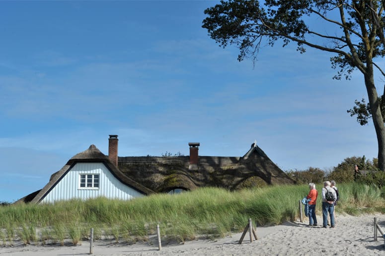 Fischland-Darß-Zingst gibt es viele typische Reetdachhäuser zu bewundern.