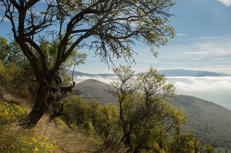 Urlaub voller Lebensfreude, Abwechslung und Abenteuer und das "echte" Italien - können Reisende in den Abruzzen erleben.