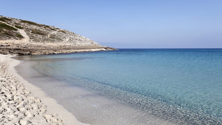 Die Cala Torta ist eine kleine Bucht mit breitem Sandstrand im Nordosten der Baleareninsel Mallorca. Der weiße Sandstrand ist ein beliebter Ausflugspunkt für Sonnenanbeter. Umgeben ist er von Dünen und Felsen, inmitten eines Naturschutzgebietes. Das Wasser ist kristallklar und lädt zum Planschen ein.