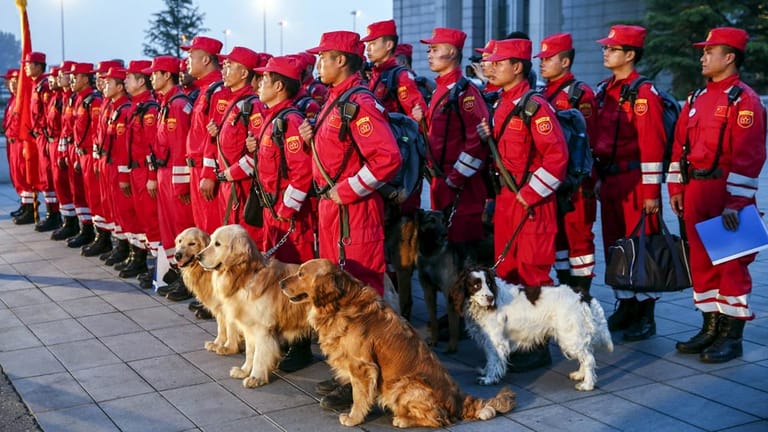 Offizielle Einsatzkräfte unterstützen mit Rettungshunden die Suche nach Überlebenden.