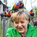 Diese Loris durften Angela Merkel schon im Jahr 2012 auf dem Kopf rumtanzen - und sie hatte sichtlich Spaß dabei.