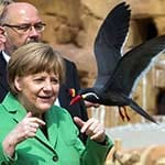 Bundeskanzlerin Angela Merkel (CDU) beobachtete beim Besuch des Vogelparks Marlow am 30. April 2015 auch Inka-Seeschwalben über dem Wasserbecken der neuen