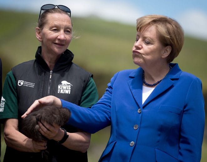 "Es war ein sehr bewegender Moment", gestand Merkel im November 2014 während ihres Neuseeland-Besuchs. Die Kanzlerin durfte ein Weibchen der vom Aussterben bedrohten Art gemeinsam mit einer Vogelschützerin in die Freiheit entlassen.