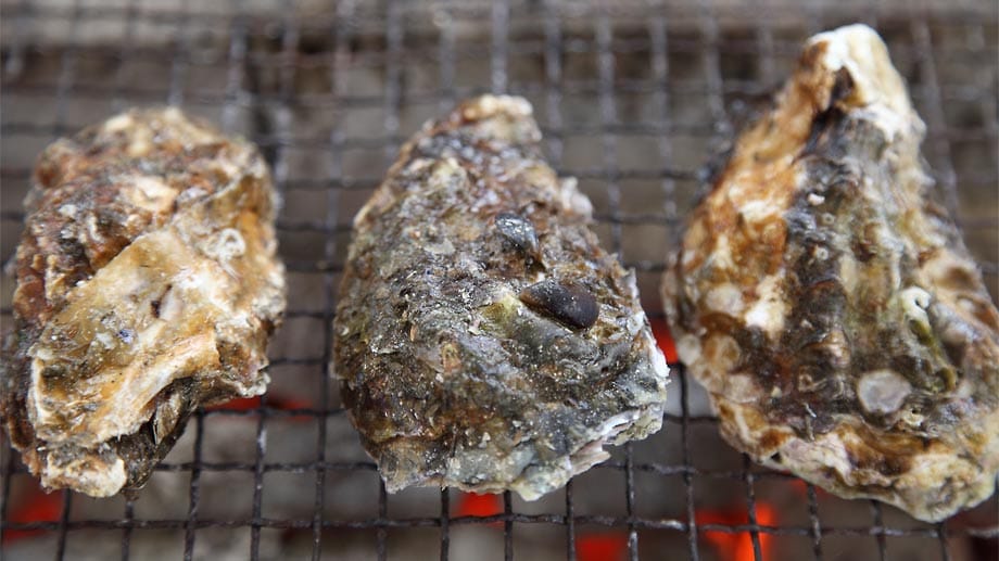 Gegrillte Austern gehören zu wenig bekannten Grillspezialitäten. Dazu nur Salzbutter und feinster Pfeffer, nach Geschmack etwas Zitrone. Das schmeckt!