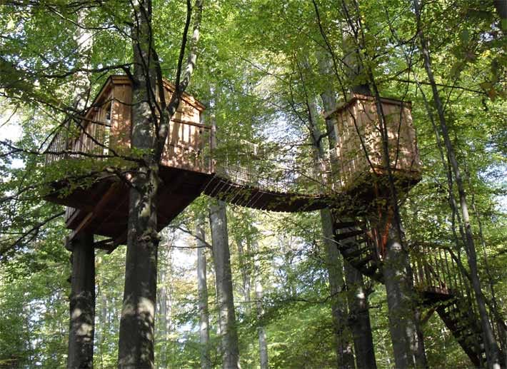 Zugang nur für Schwindelfreie: Eine Hütte im "Baumhaushotel Solling" hängt in sieben Meter Höhe ohne Stützpfeiler zwischen zwei großen Buchen.