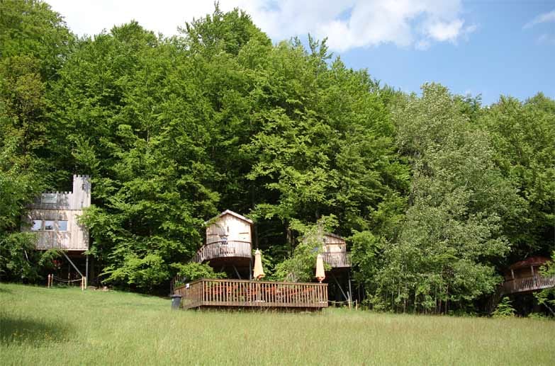 Die Hütten des "Baumhaushotels Solling" liegen idyllisch am Waldrand - zwei bis sechs Personen finden in ihnen Platz.