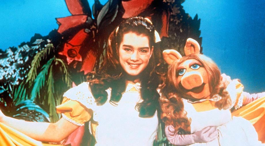 Mit 14 Jahren war sie der jüngste Gaststar, der in eine Muppet Show eingeladen wurde. Das war 1980.